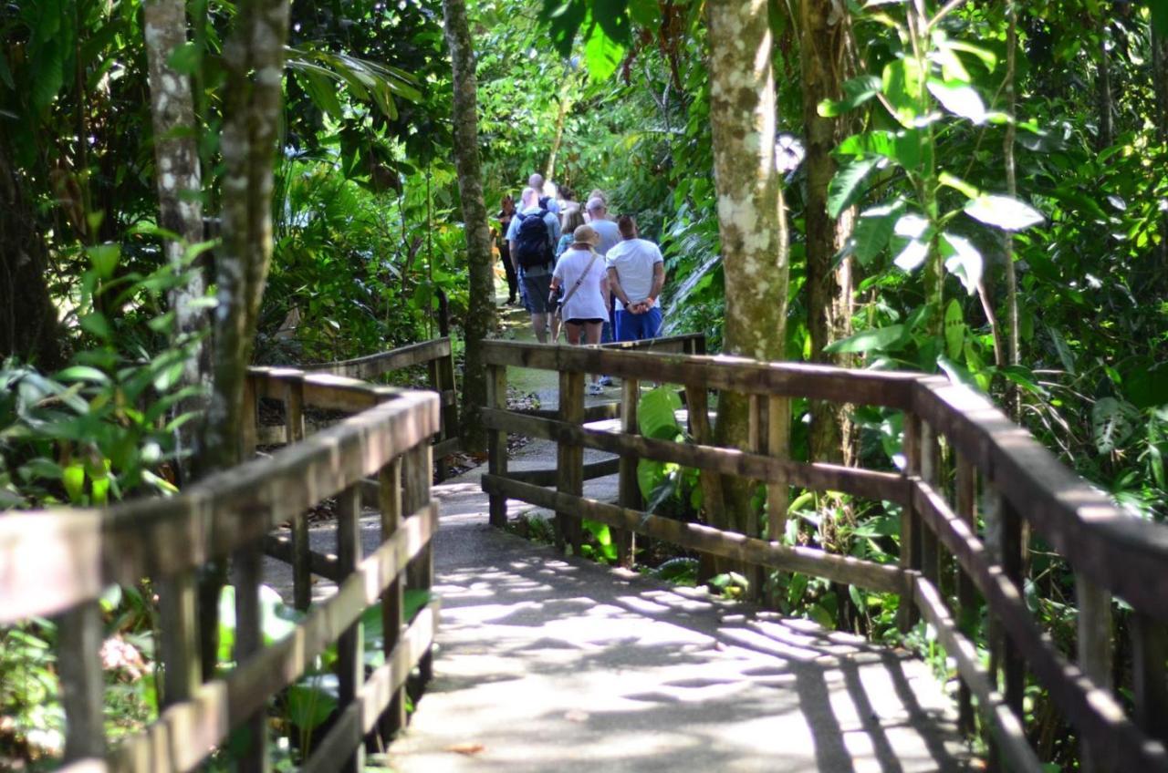 Veragua Rainforest Пуэрто-Лимон Экстерьер фото